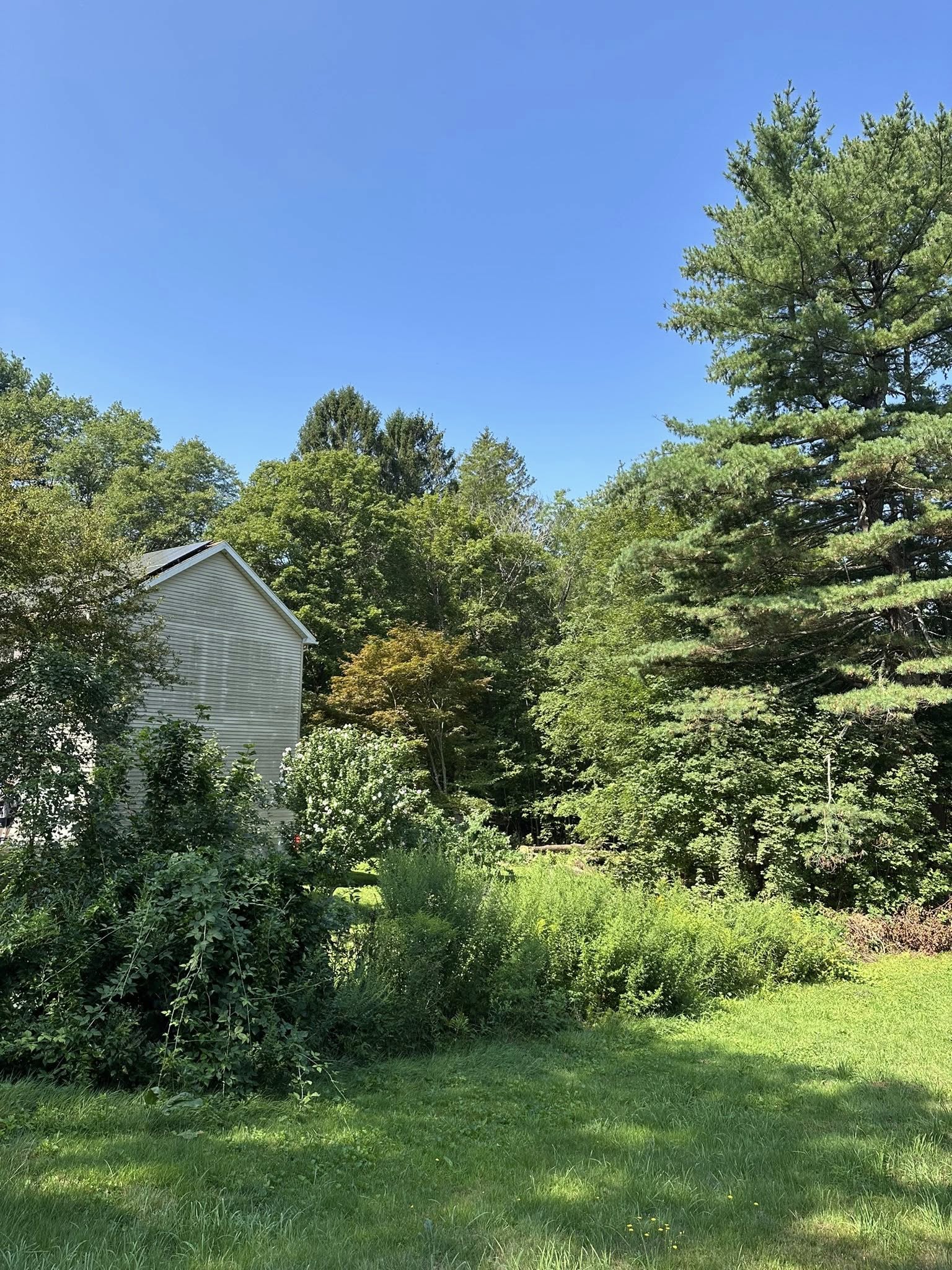 Area cleared, barn visible