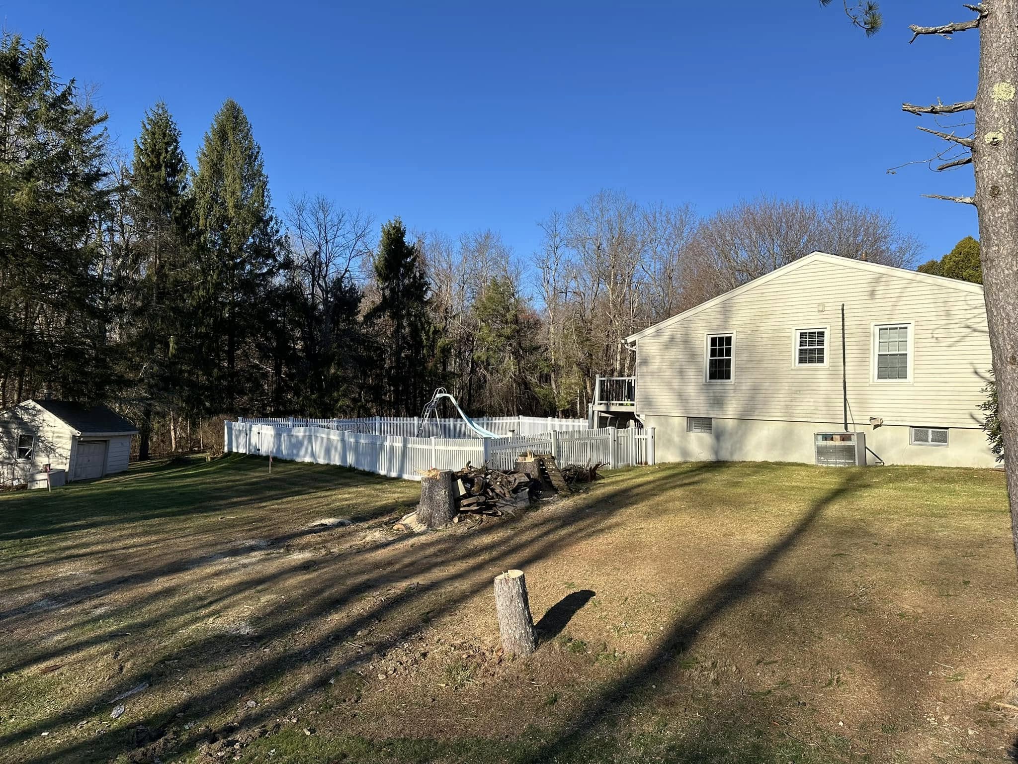 Clean yard after pine tree removal