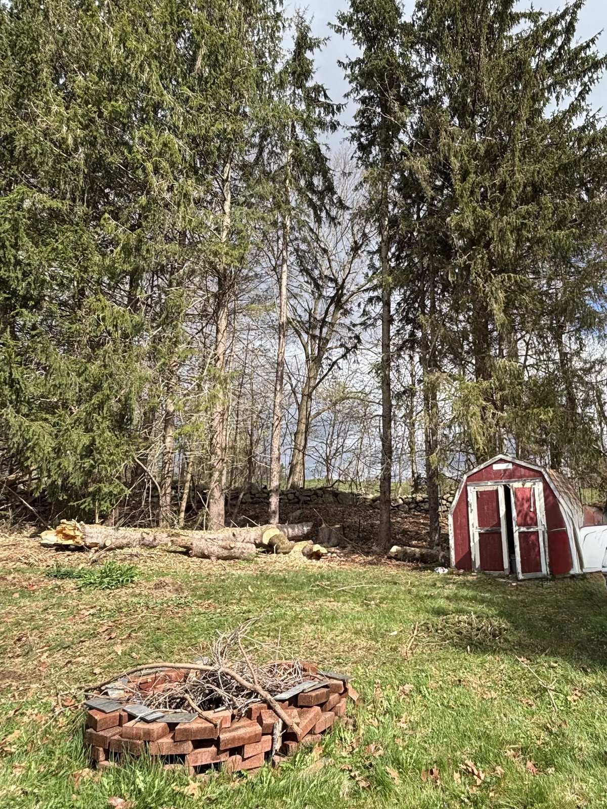 Red shed clear, logs cut and stacked