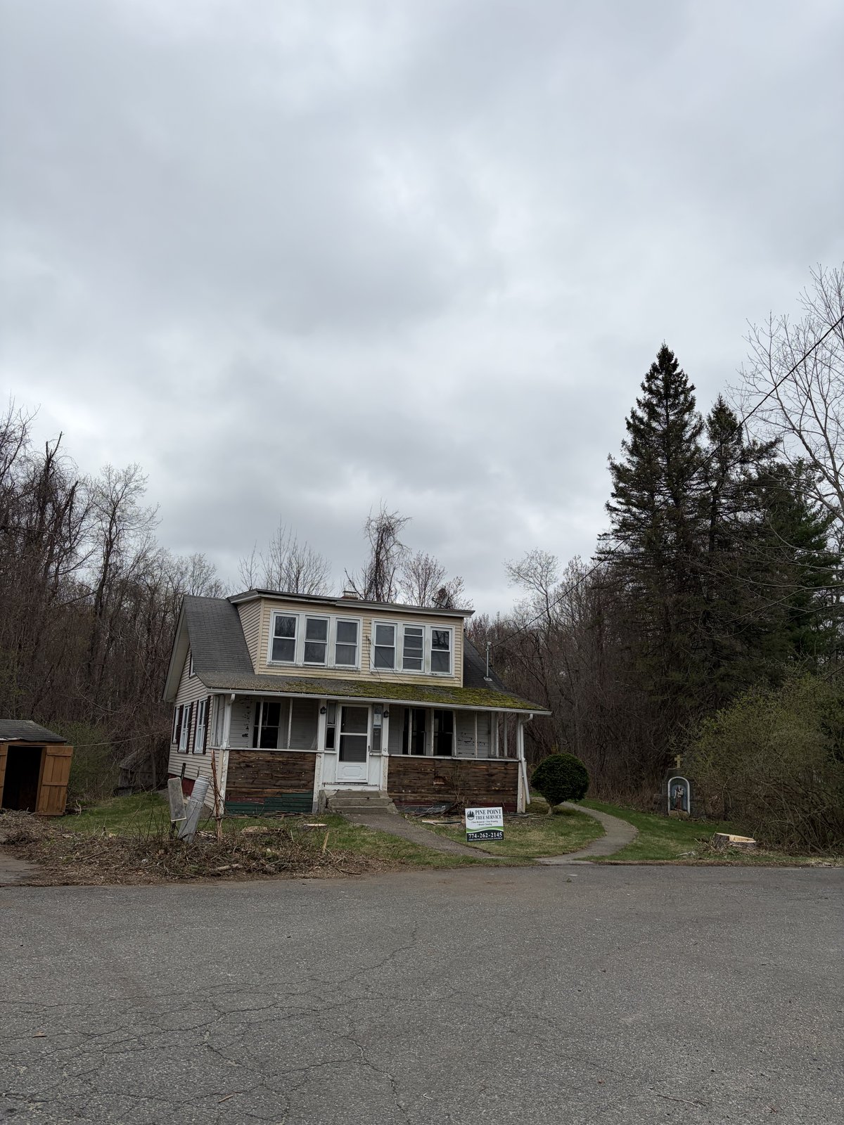 House visible after pines removed