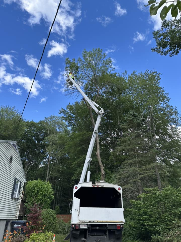 Pine Point bucket truck with boom extended