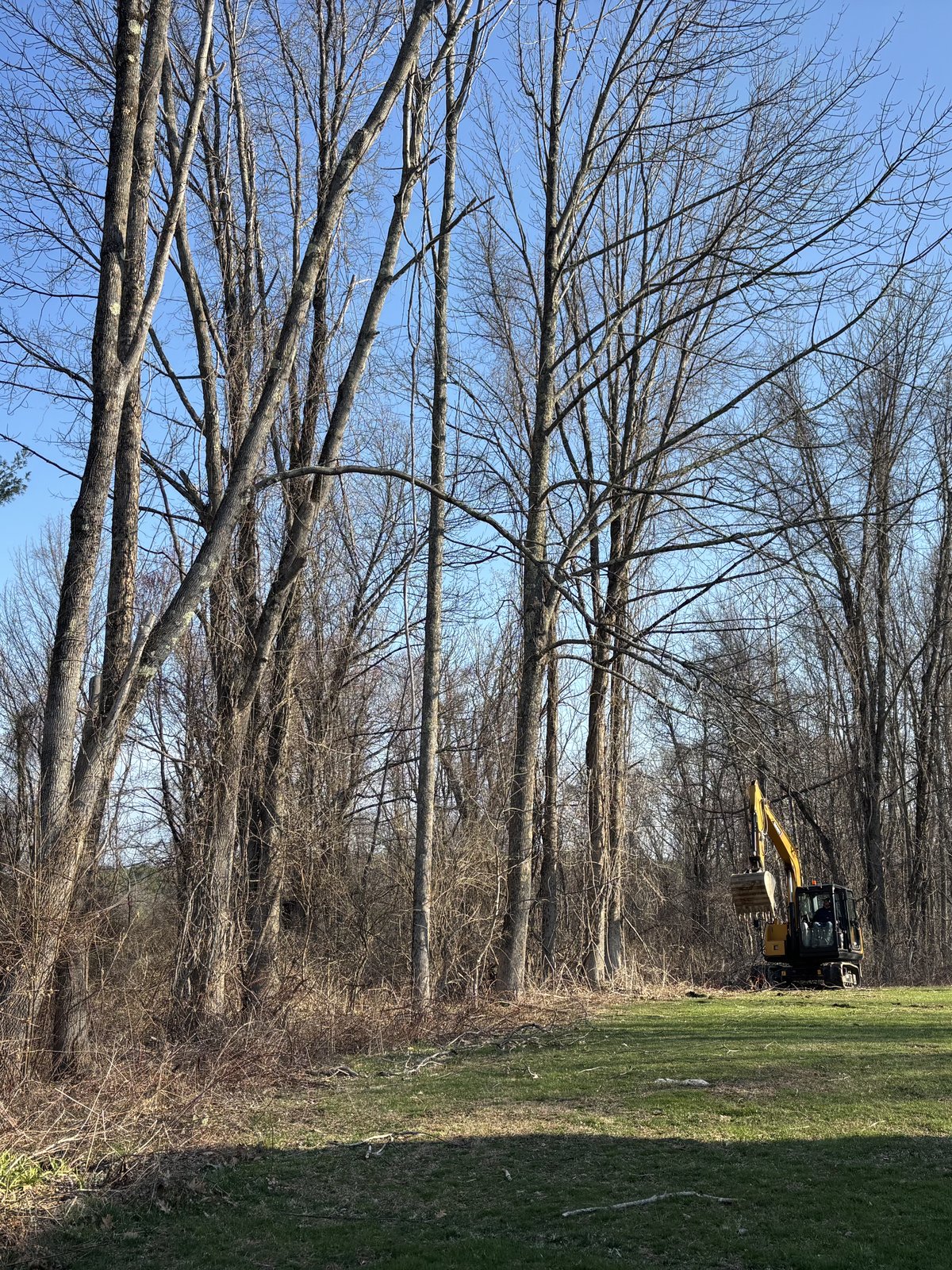 Wooded lot with excavator on site