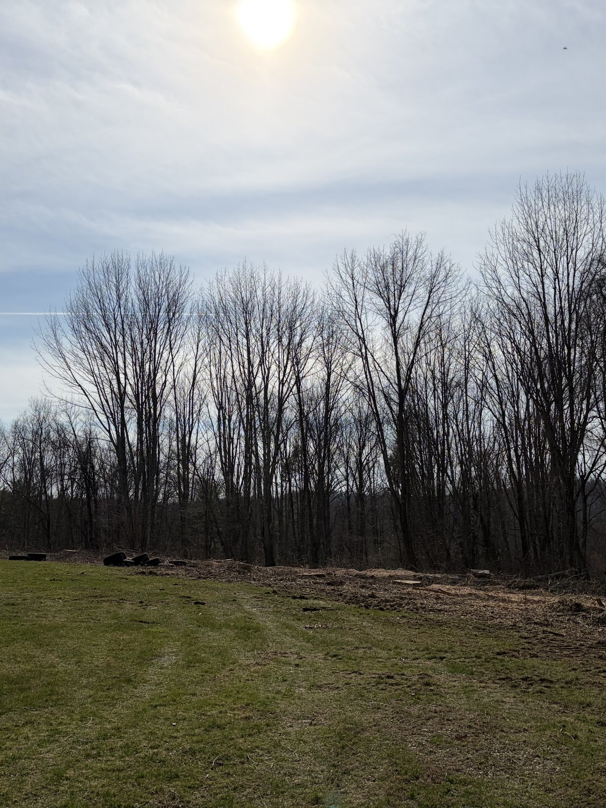Cleared lot with treeline pushed back