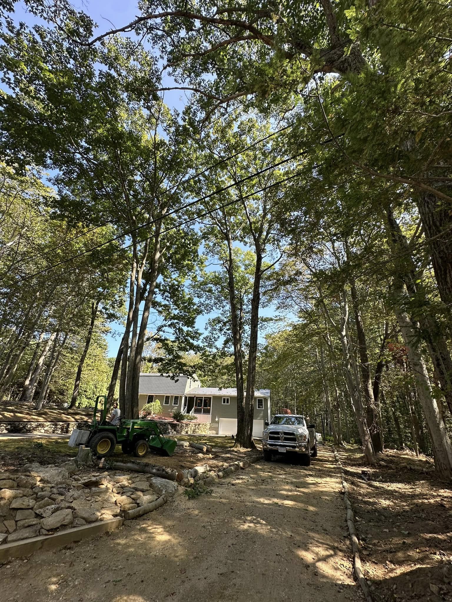 Before — dense wooded lot
