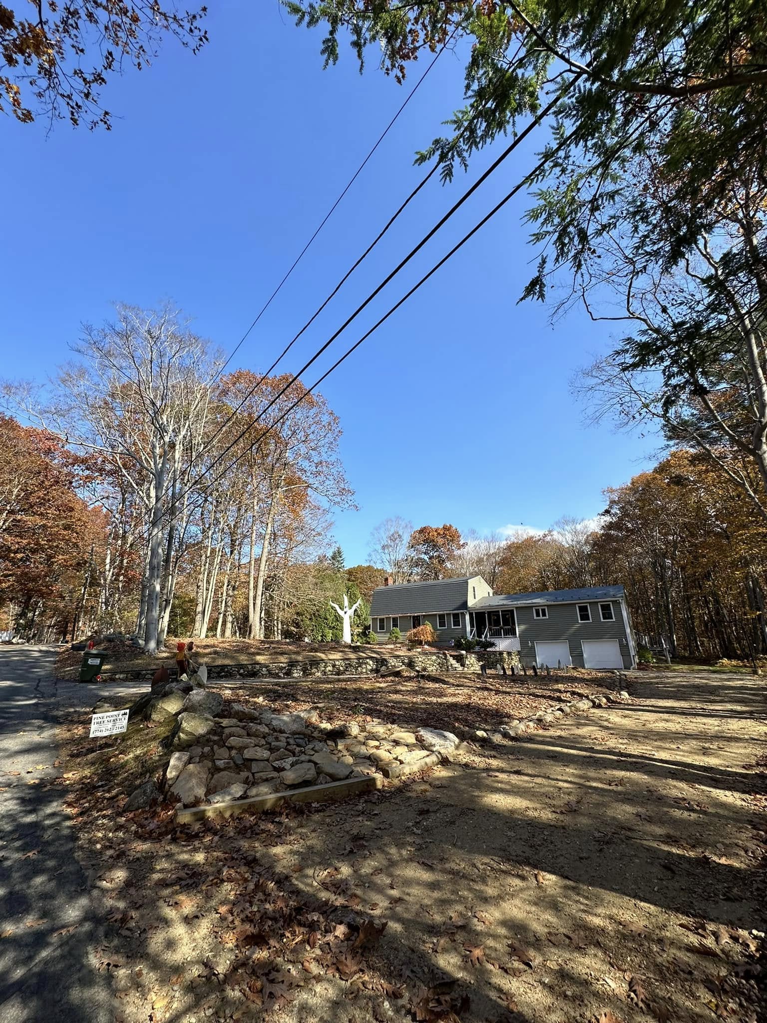 Progress — front lot cleared